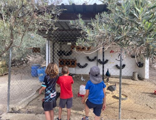 EXCURSIÓN ALUMNADO 1ER. Y 2º CICLO DE PRIMARIA.