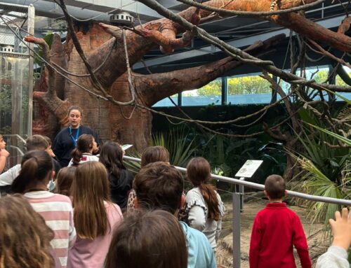 VISITA AL PARQUE DE LAS CIENCIAS DE GRANADA 2º Y 3ER CICLO DE PRIMARIA.