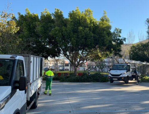 SEGUIMOS MEJORANDO NUESTRO COLEGIO.